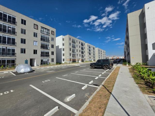 Apartamentos, Alquiler en Palmira