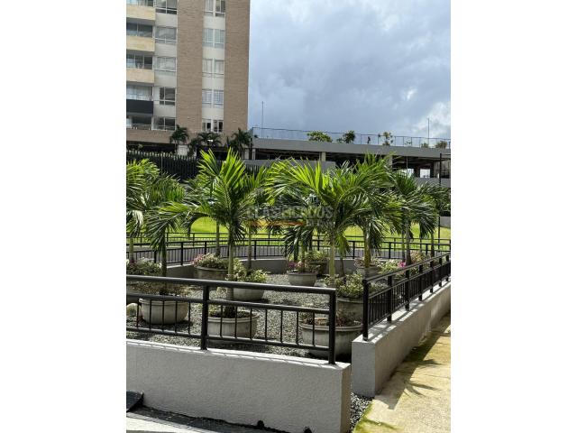 Apartamentos, Alquiler en Ciudad Jardín