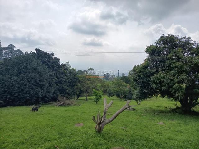 Casas, Venta en Dapa