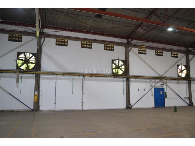 Locales y Bodegas, Alquiler en Flora Industrial