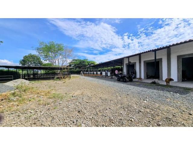 Lotes, Venta en Palmira