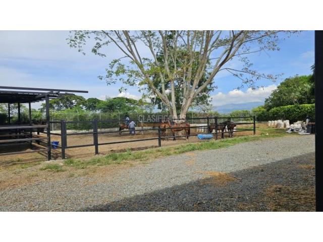 Lotes, Venta en Palmira
