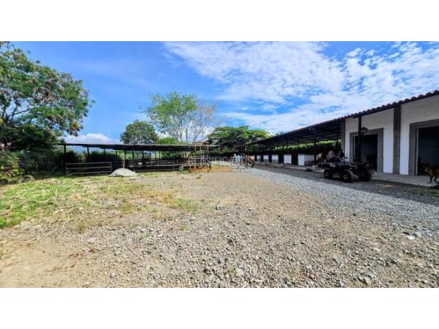 Lotes, Venta en Palmira