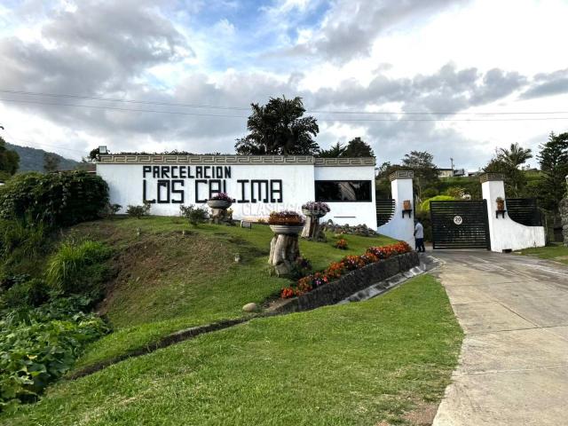 Lotes, Venta en Calima (Darién)