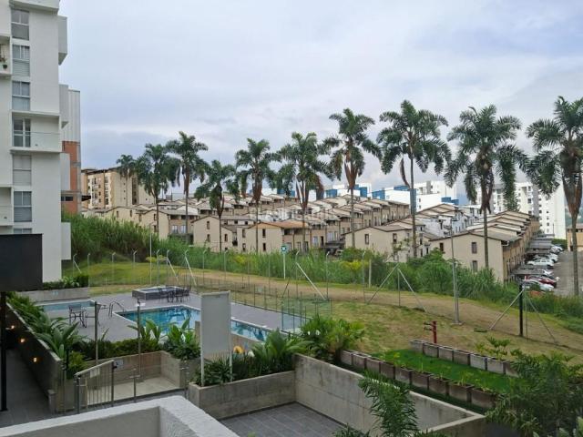 Apartamentos, Alquiler en Pereira