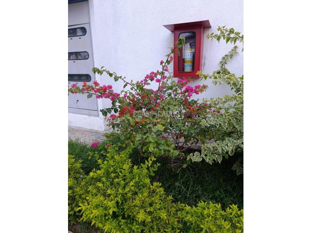 Apartamentos, Venta en Valle del Lili