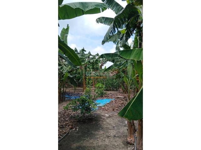 Fincas y Casas Campestres, Venta en Palmira