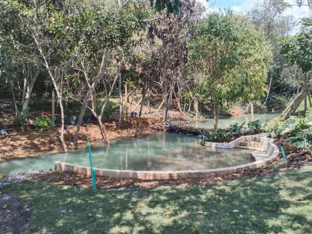 Casas, Venta en Pance
