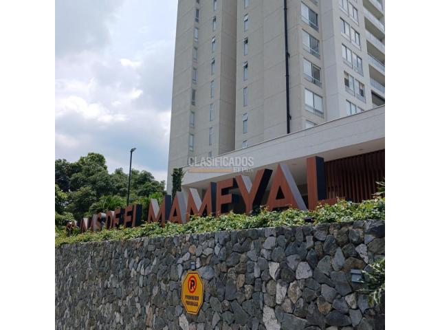 Apartamentos, Alquiler en Bellavista