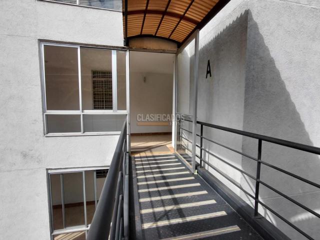 Apartamentos, Alquiler en Bellavista
