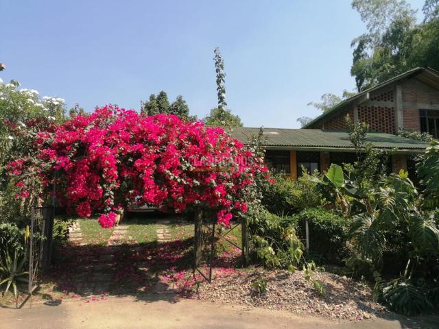 Casas, Venta en Jamundí