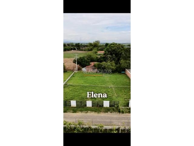 Lotes, Venta en Palmira