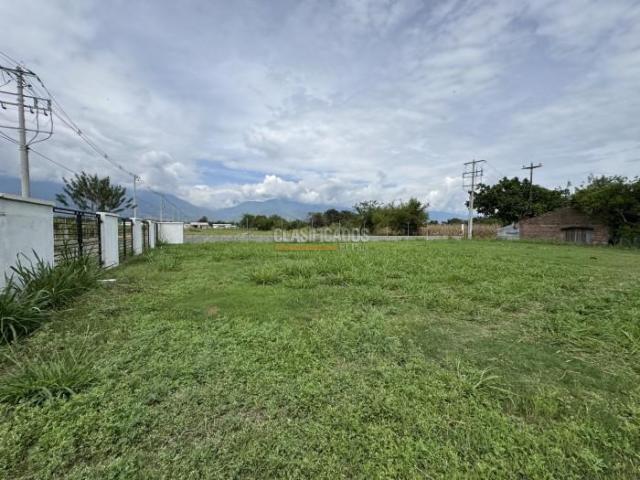 Lotes, Venta en Palmira
