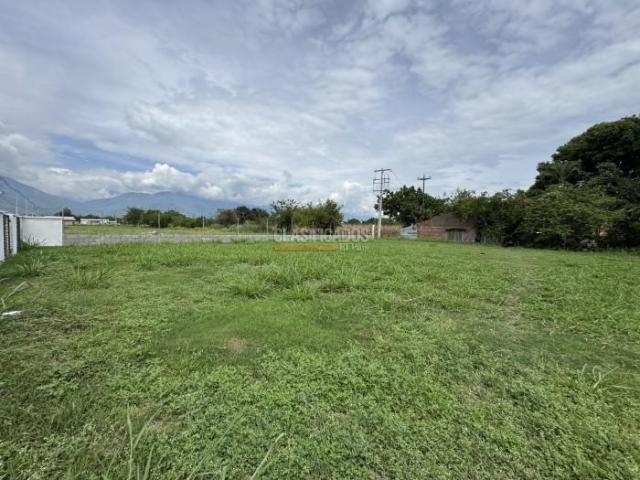 Lotes, Venta en Palmira