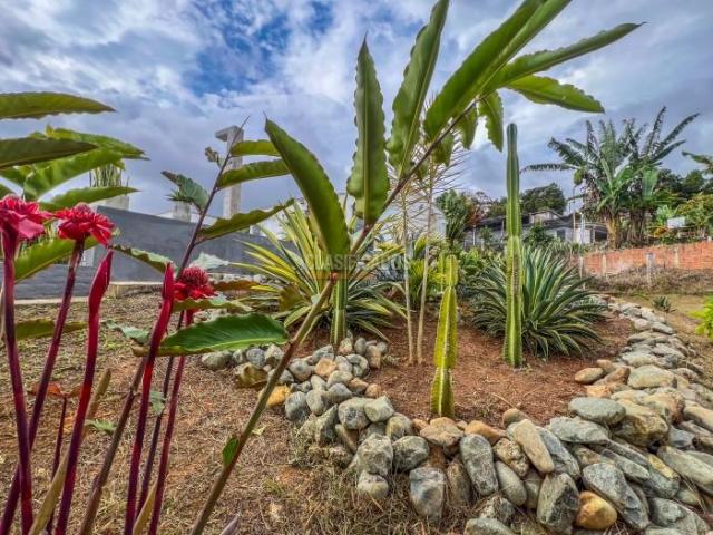Fincas y Casas Campestres, Venta en Dagua