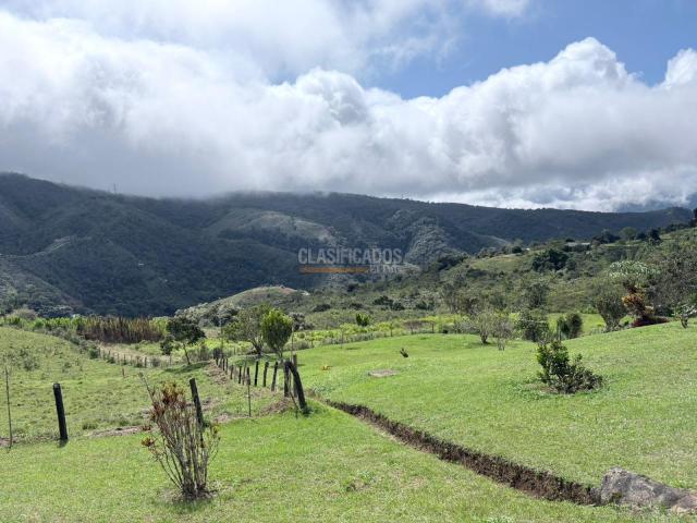 Fincas y Casas Campestres, Venta en Dagua