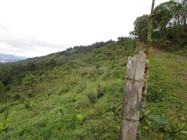 Fincas y Casas Campestres, Venta en Dagua