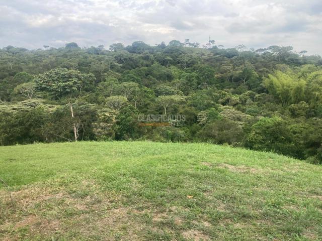 Lotes, Venta en Pance