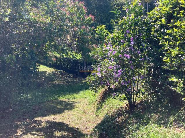 Lotes, Venta en Pance