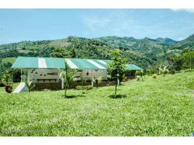 Lotes, Venta en La Vega