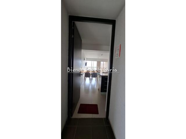 Apartamentos, Alquiler en Floridablanca