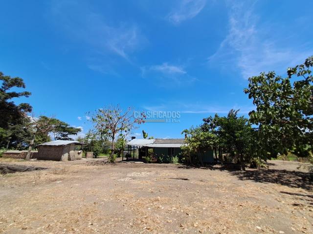 Fincas y Casas Campestres, Venta en Florida