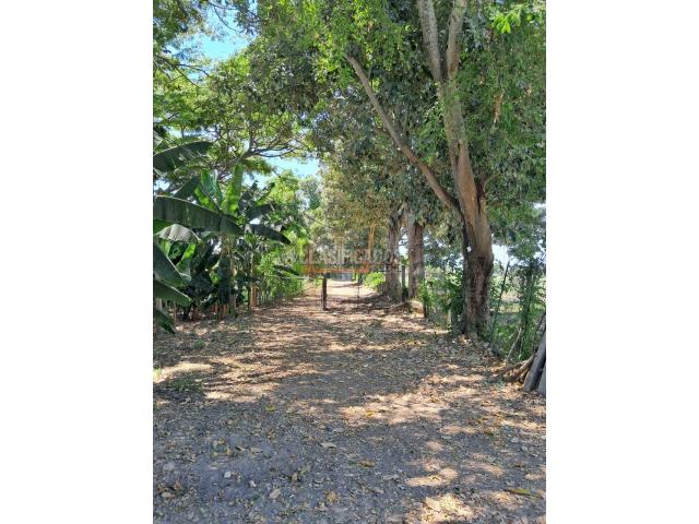 Fincas y Casas Campestres, Venta en Florida
