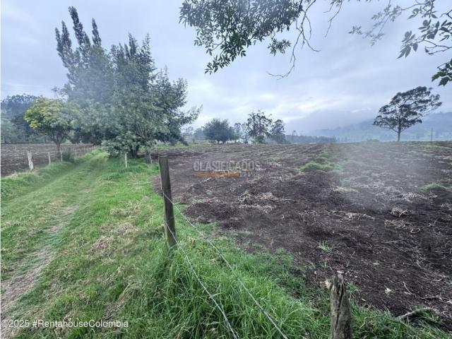 Lotes, Venta en Bojaca