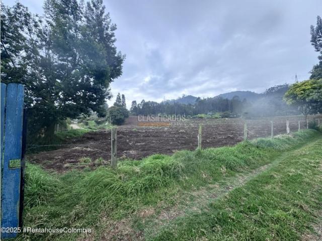 Lotes, Venta en Bojaca