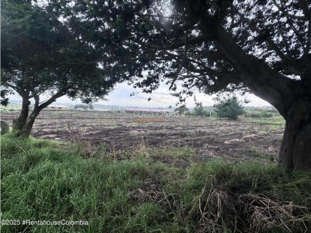 Lotes, Venta en Bojaca