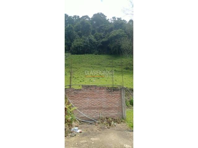 Lotes, Venta en Calima (Darién)