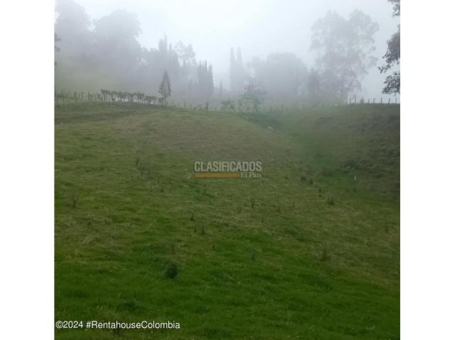 Lotes, Venta en Bojaca
