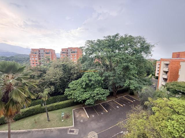 Apartamentos, Alquiler en Ciudad Jardín