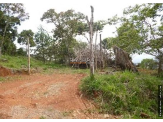 Lotes, Venta en Cristo Rey
