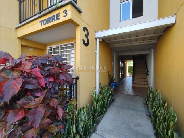 Apartamentos, Alquiler en Candelaria