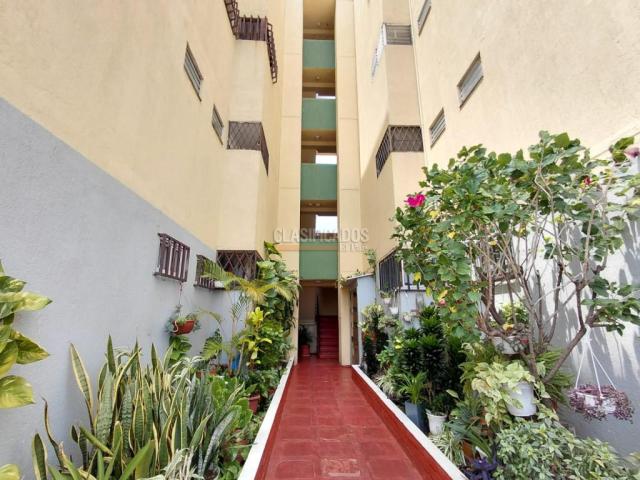 Apartamentos, Alquiler en Brisas de los Álamos
