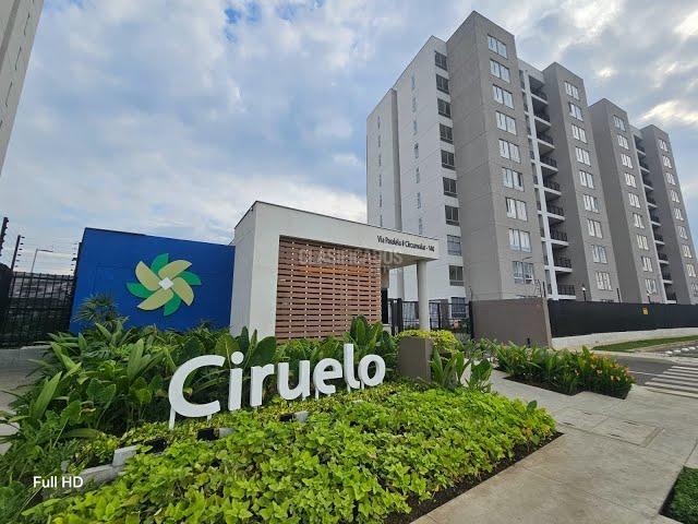 Apartamentos, Alquiler en Jamundí