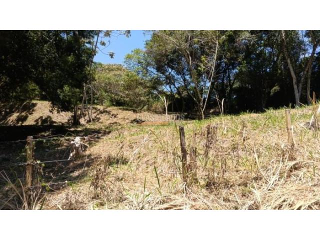 Lotes, Venta en La Buitrera
