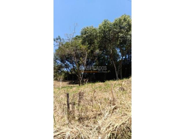 Lotes, Venta en La Buitrera