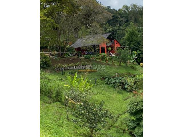 Fincas y Casas Campestres, Venta en Dagua