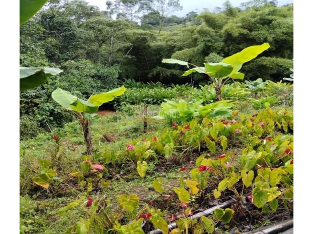 Lotes, Venta en Dagua