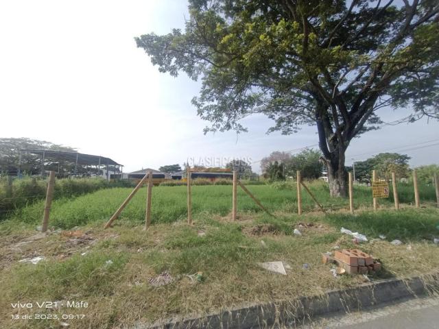 Lotes, Venta en Palmira
