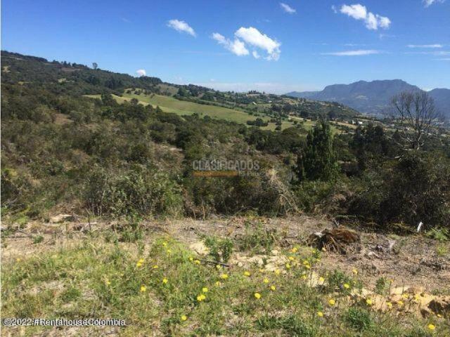Lotes, Venta en Chía