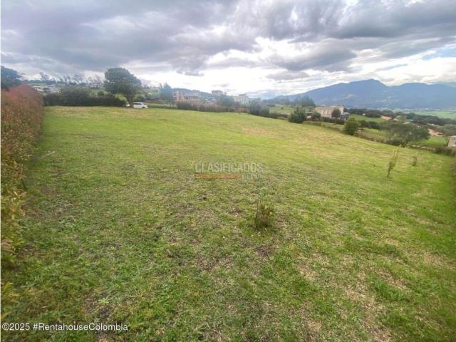 Lotes, Venta en Chía