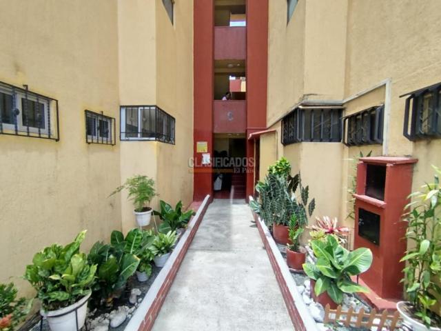 Apartamentos, Alquiler en Brisas de los Álamos
