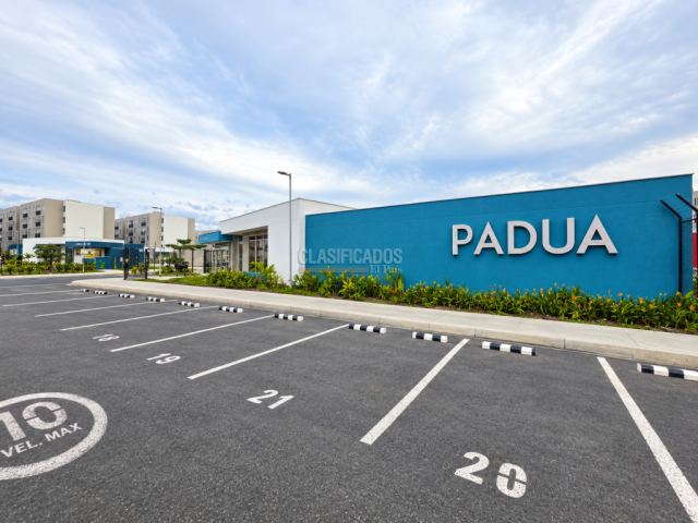 Apartamentos, Alquiler en Palmira