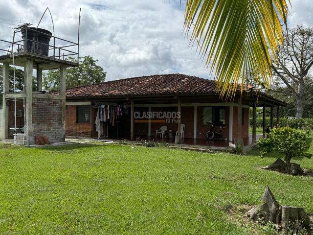 Fincas y Casas Campestres, Venta en Bugalagrande