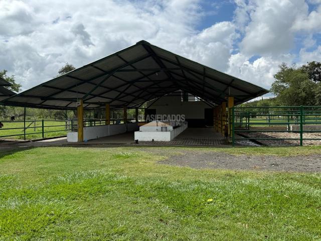 Fincas y Casas Campestres, Venta en Bugalagrande