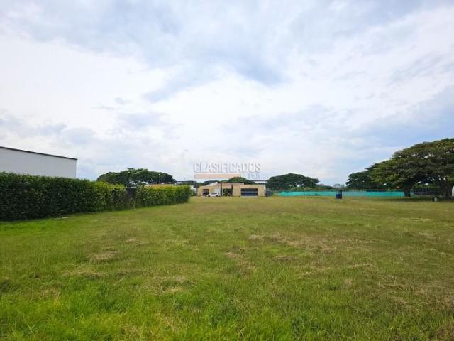 Lotes, Venta en Palmira