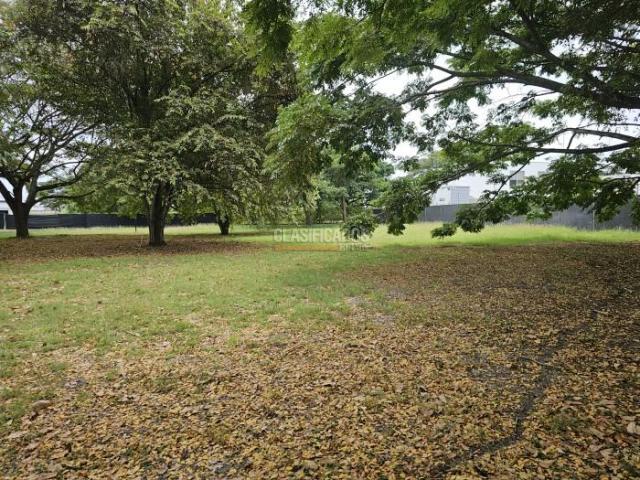 Lotes, Venta en Palmira